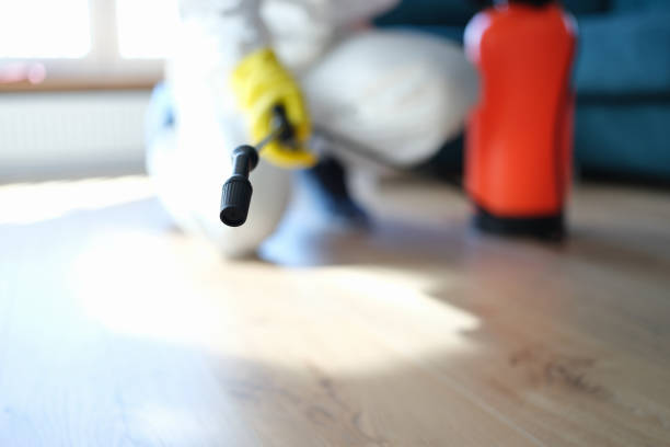 Trusted Aliquippa, PA Mold Removal Experts