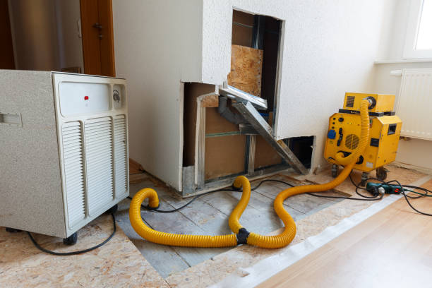 Best HVAC Mold Inspection and Cleaning  in Aliquip, PA